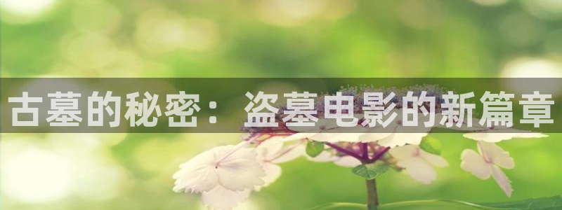 潜伏免费观看西瓜：古墓的秘密：盗墓电影的新篇章