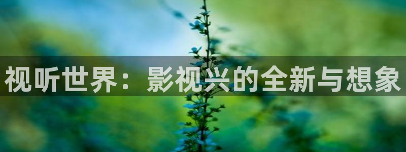 奥利西瓜片：视听世界：影视兴的全新与想象