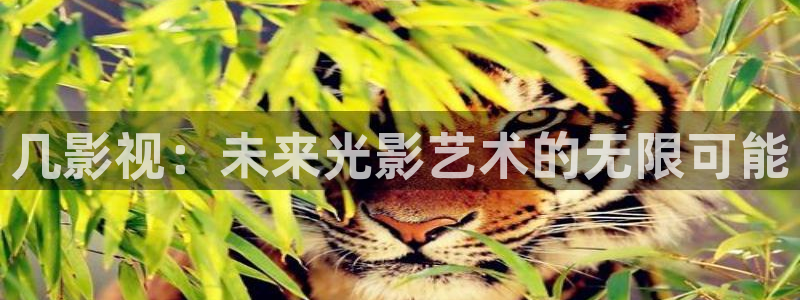 交换的一天西瓜电影：几影视：未来光影艺术的无限可能
