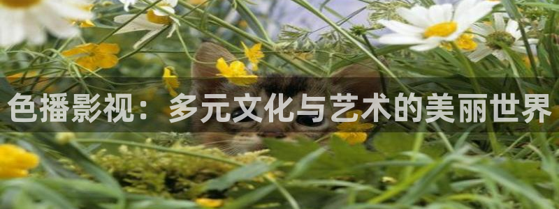 色戒西瓜在线：色播影视：多元文化与艺术的美丽世界