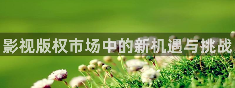 西瓜影院免费观看电视剧电影：影视版权市场中的新机遇与挑战