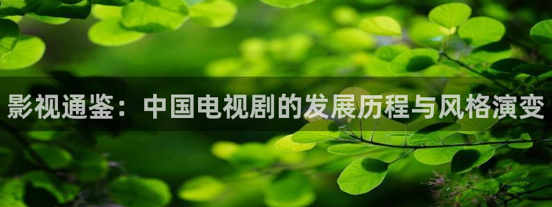 妈妈的朋友免费观看西瓜：影视通鉴：中国电视剧的发展历程与风格演变